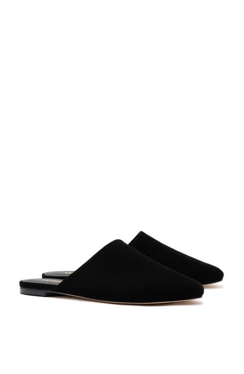 Larroude Venice Suede Ballerina Mules In Black