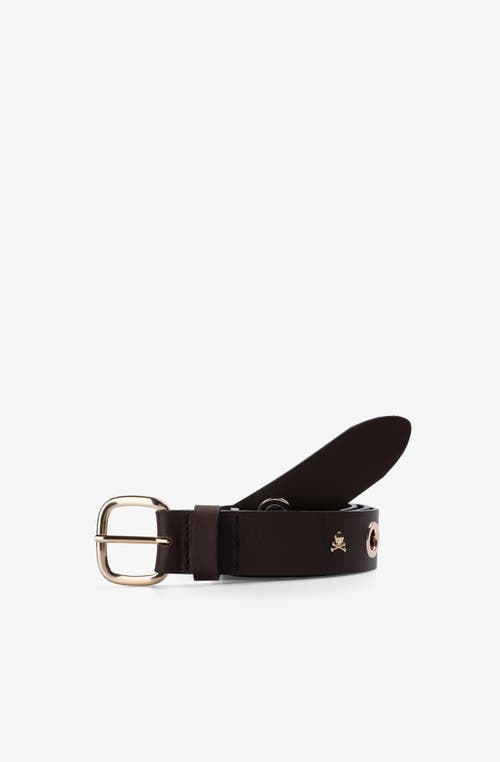 Scalpers Eyelet Skull Belt In Burgundy