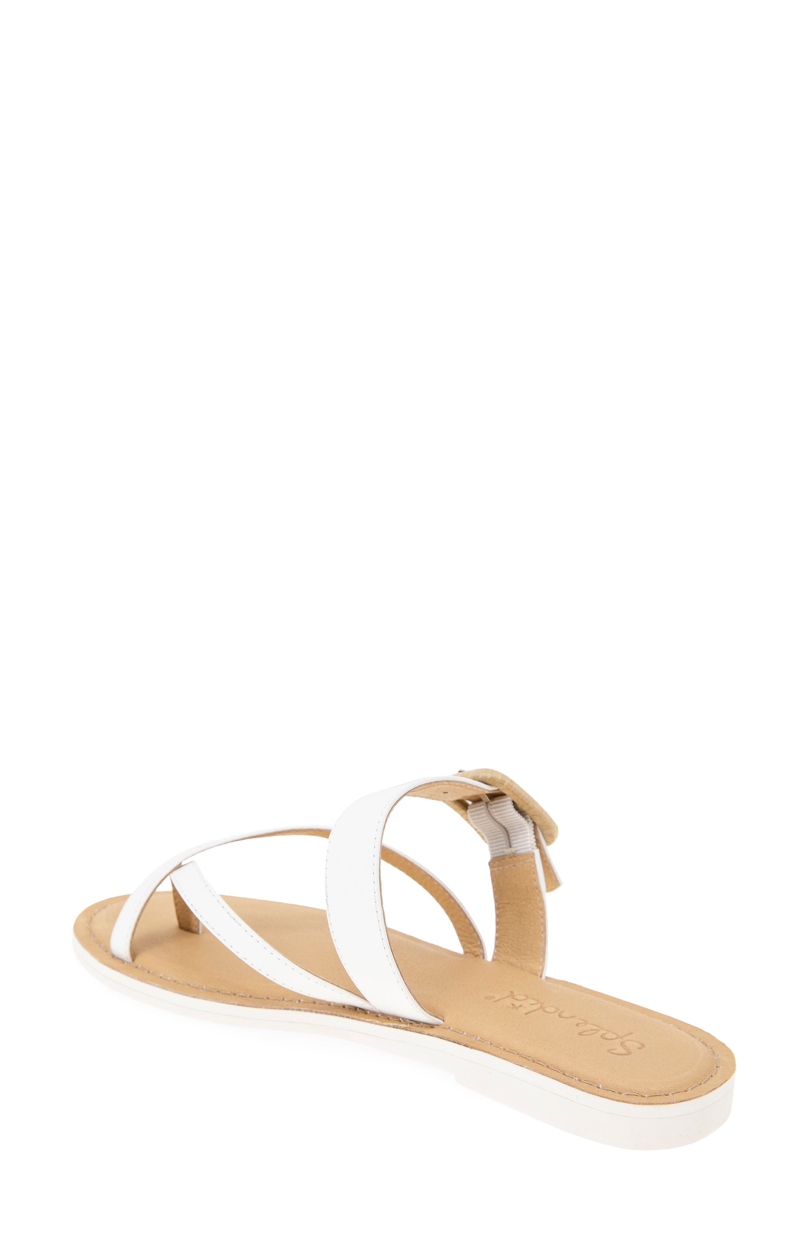 Splendid Sutton Toe Loop Sandal, Alternate, color, 