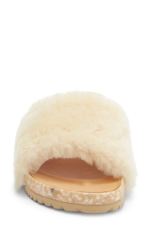 Fleks San Ysidro Genuine Shearling Slide Sandal In Neutral