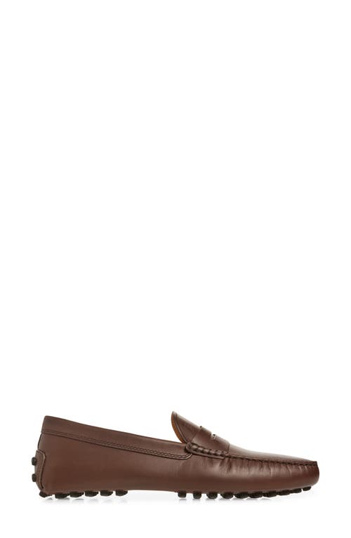 Tod's Penny Loafer In Marrone Africa