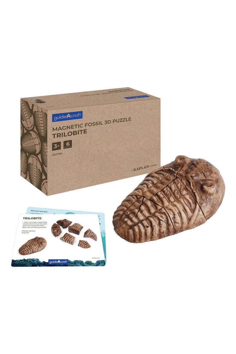 Magnetic Fossil 3D Puzzle - Trilobite - 6 Pieces, Main, color, Multicolor