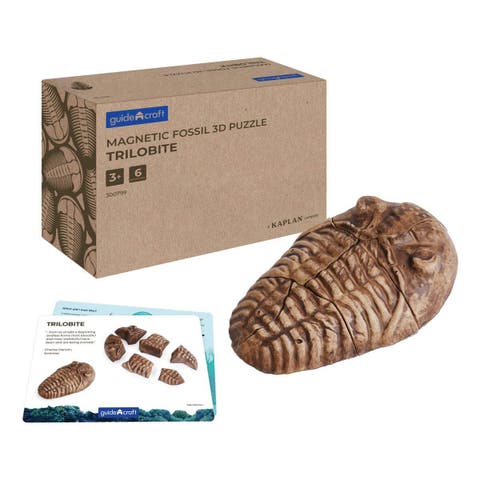 Magnetic Fossil 3D Puzzle - Trilobite - 6 Pieces