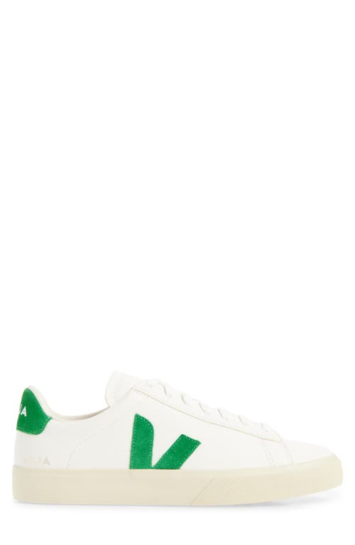Veja Campo Sneaker In White