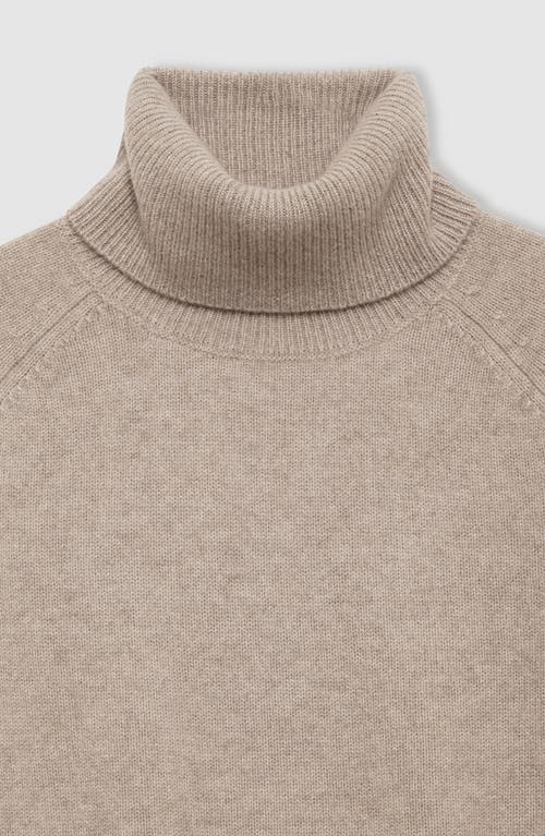 Anine Bing Jackson Turtleneck Sweater In Brown