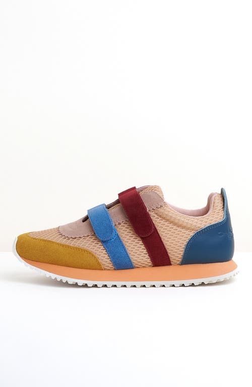 Charlotte Stone Conway Sneaker In Multi