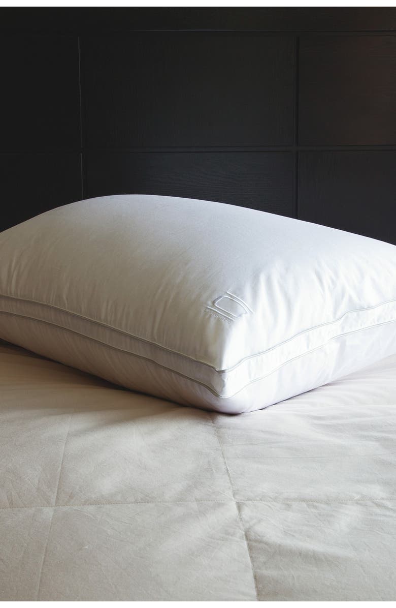 Allied Home Nikki Chu Standard Cotton White Goose Down Best Pillow with Removable Cover, Main, color,