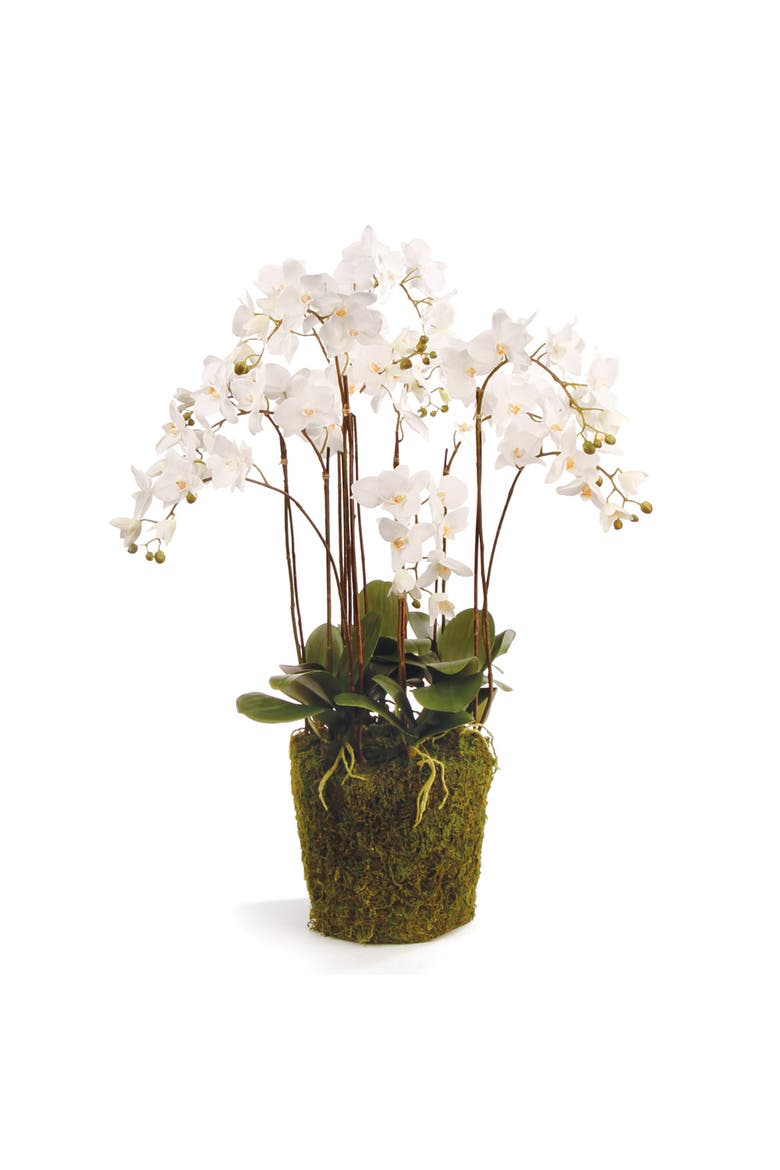 Phalaenopsis Orchid Faux (Fake) Drop-In 36", Main, color, White