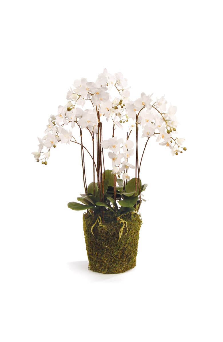 Napa Home & Garden Phalaenopsis Orchid Faux (Fake) Drop-In 36", Main, color, White