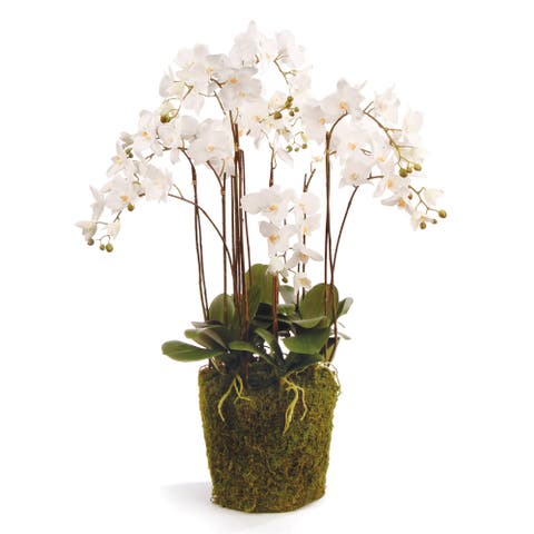 Phalaenopsis Orchid Faux (Fake) Drop-In 36"