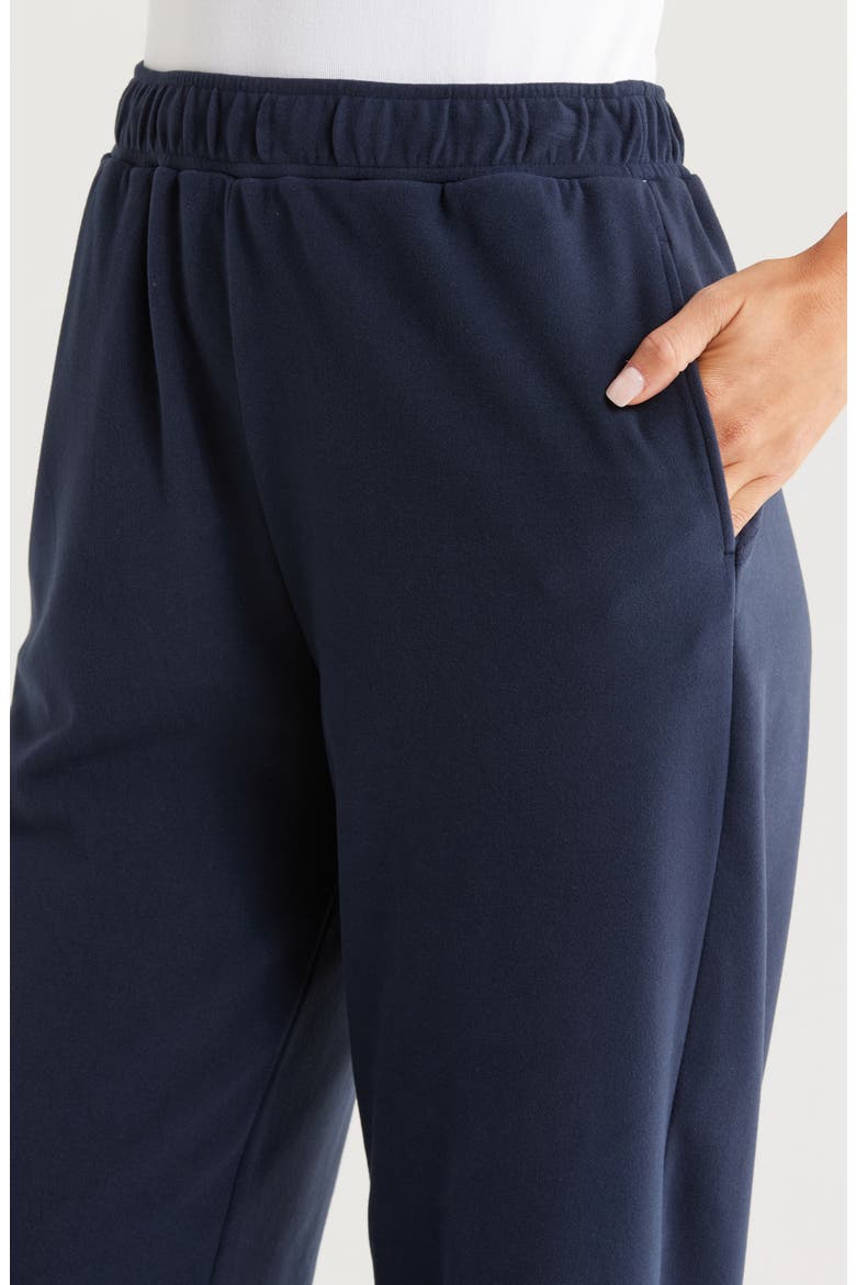 Micro Fleece Joggers, Alternate, color, NAVY SAPPHIRE