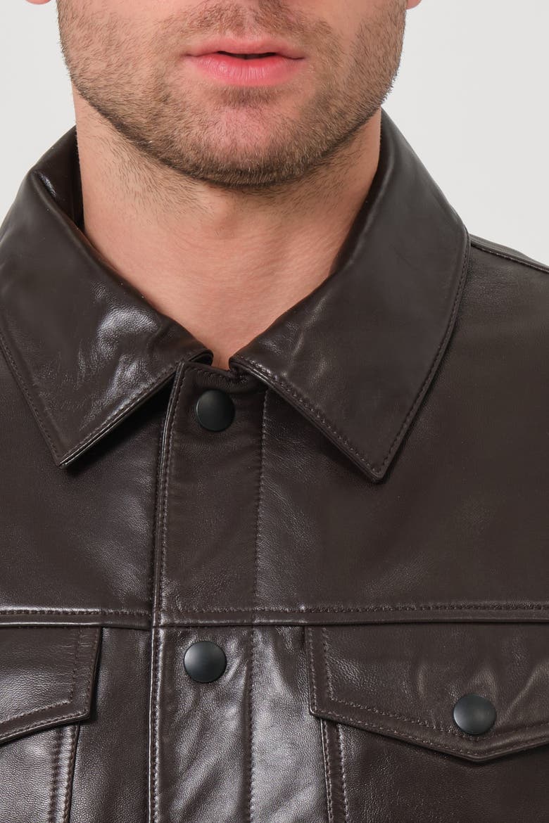 Jude Leather Jacket, Alternate, color, Coffee Bean Brown