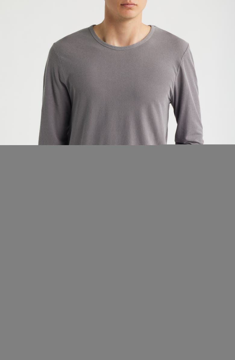 ALEX CRANE Long Sleeve Organic Cotton Crewneck T-Shirt, Main, color, Silver