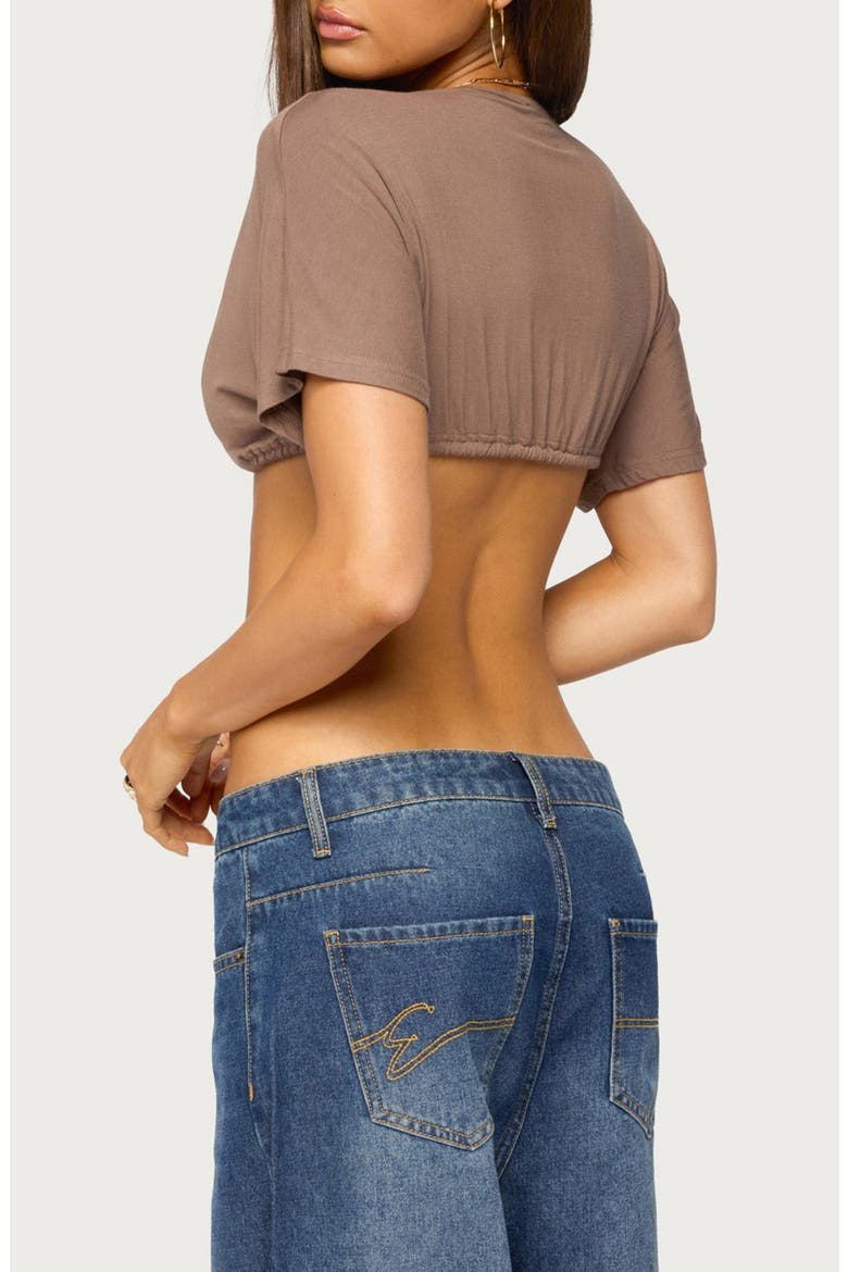 Micky Tie Front V-Neck Crop Top, Alternate, color, BROWN