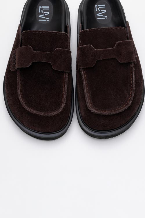Forever & Always Shoes Laven Suede Leather Clogs In Brown