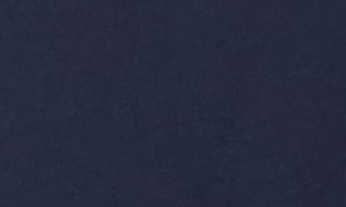 Hanes Ultimate Comfort Hoodie In Blue