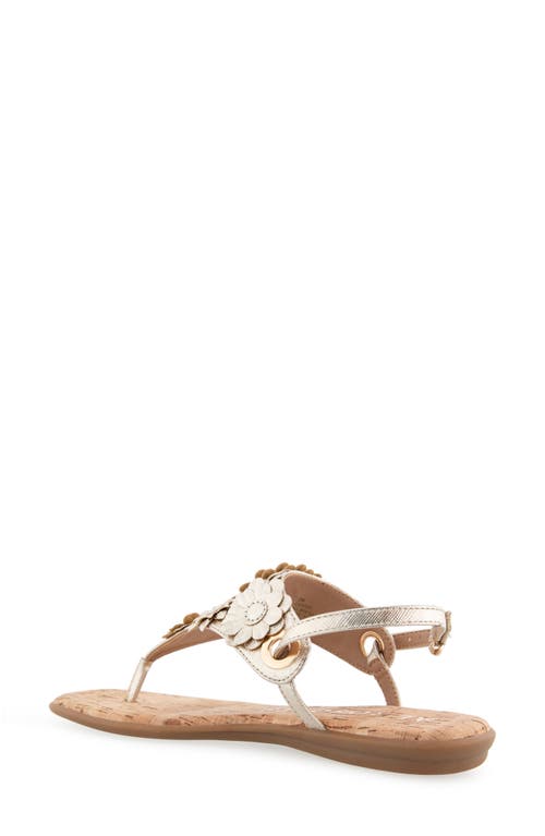 AEROSOLES AEROSOLES CONNIE FLOWER SLINGBACK SANDAL