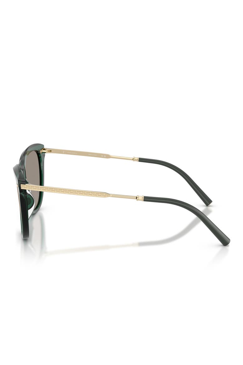 x Roger Federer Mr. Federer 55mm Cat Eye Sunglasses, Alternate, color, TRANSLUCENT DARK TEAL