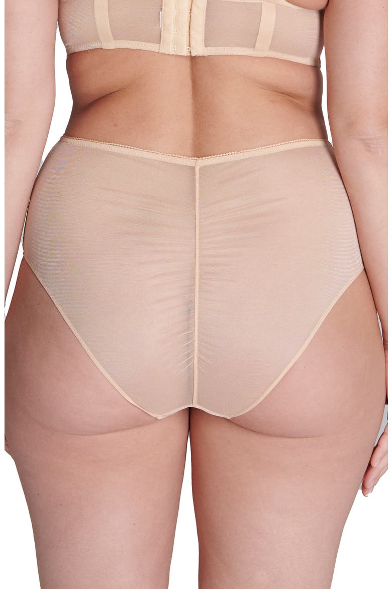 Adele High Waist Lace & Mesh Briefs, Alternate, color, GINGER