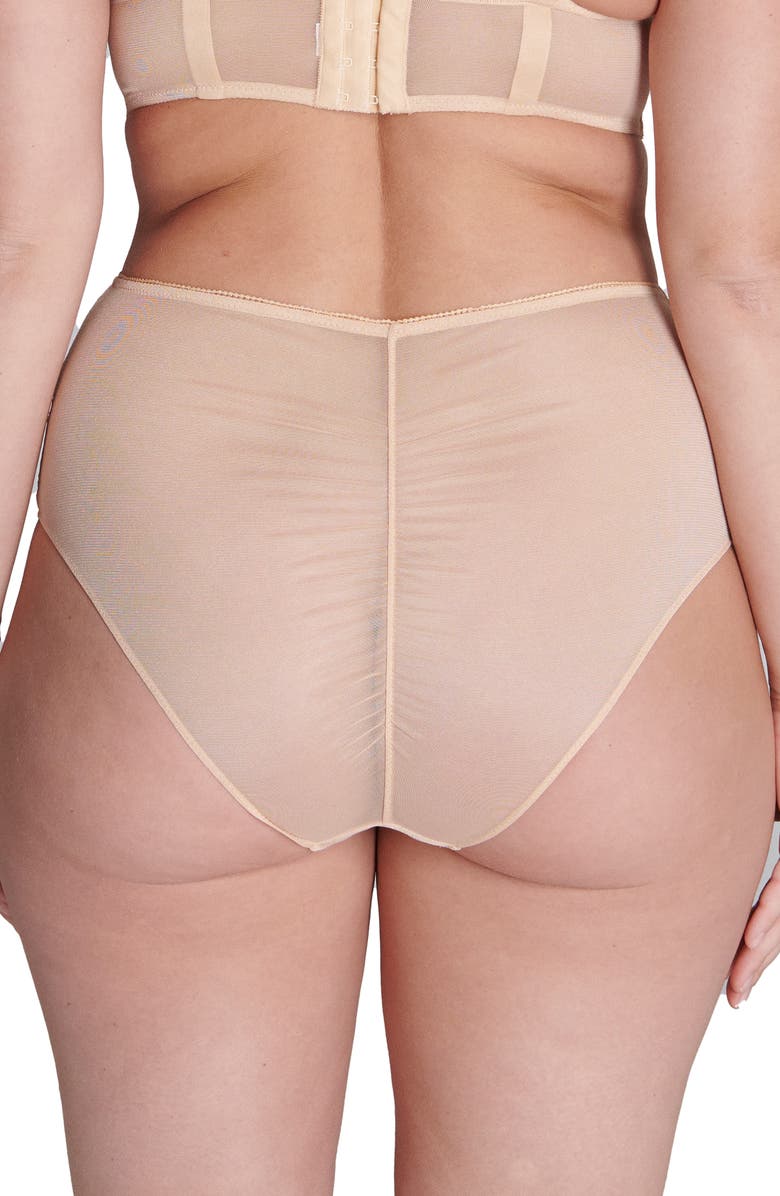 Simone Perele Adele High Waist Lace & Mesh Briefs, Alternate, color, Ginger