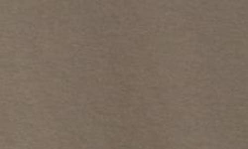 Rick Owens Gray Hollywood Jumbo Ss T-shirt In Dust