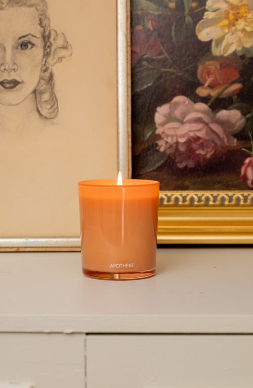 Apotheke Cedarwood Ginger Classic Candle In Orange