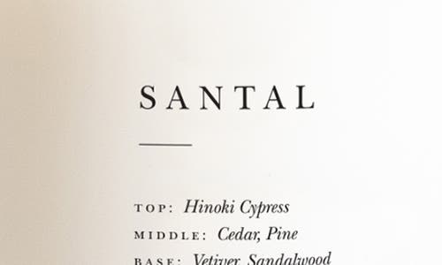 Brooklyn Candle Studio Santal Classic 2-wick Candle In Brown