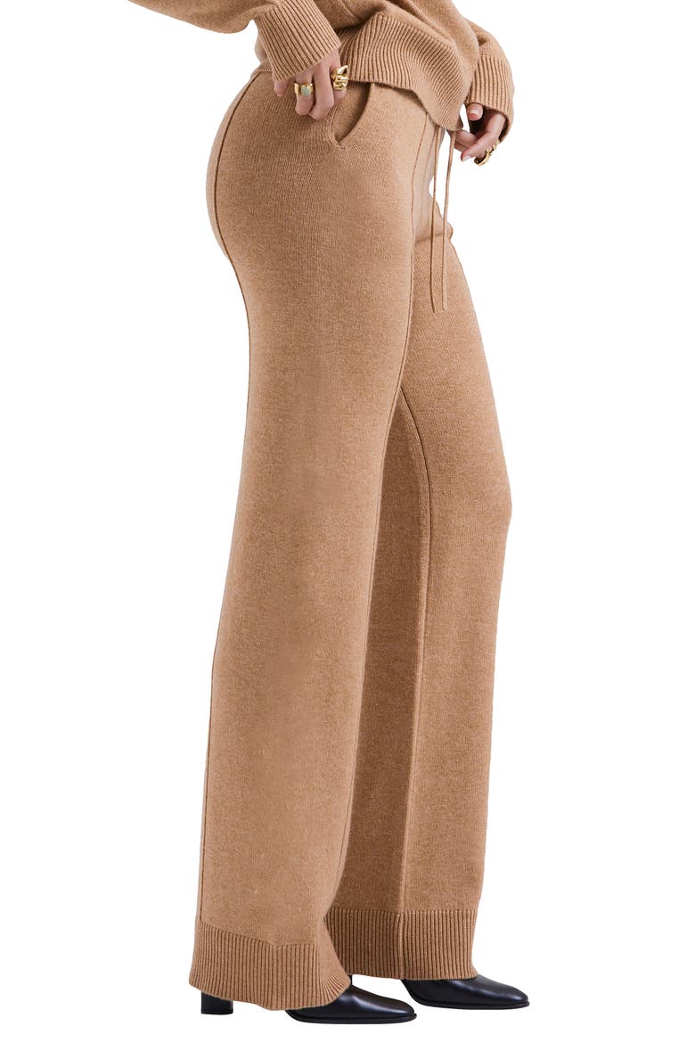 Yalina Tie Waist Knit Track Pants, Alternate, color, CAMEL