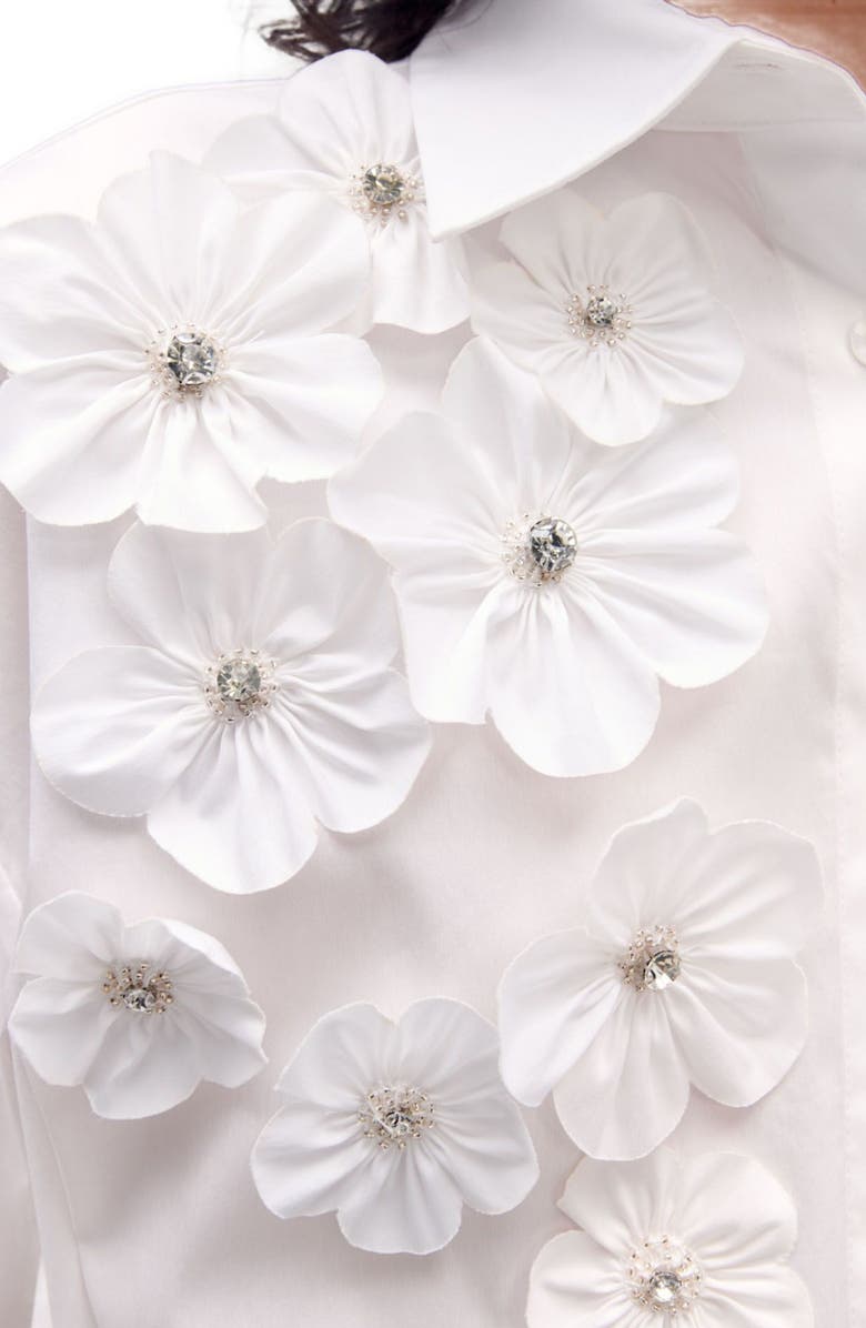 maje Long sleeve blouse, Alternate, color, 