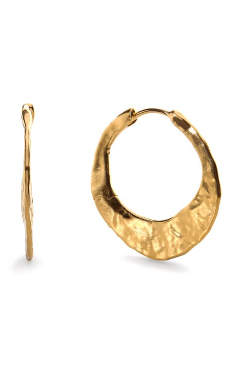 Medium Capri Hoop Earrings