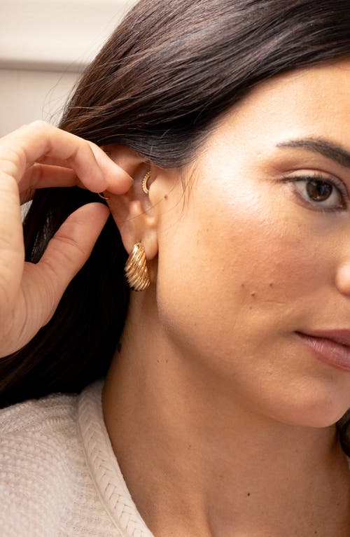 Brook & York Brook And York Farrah Drop Earrings In Gold