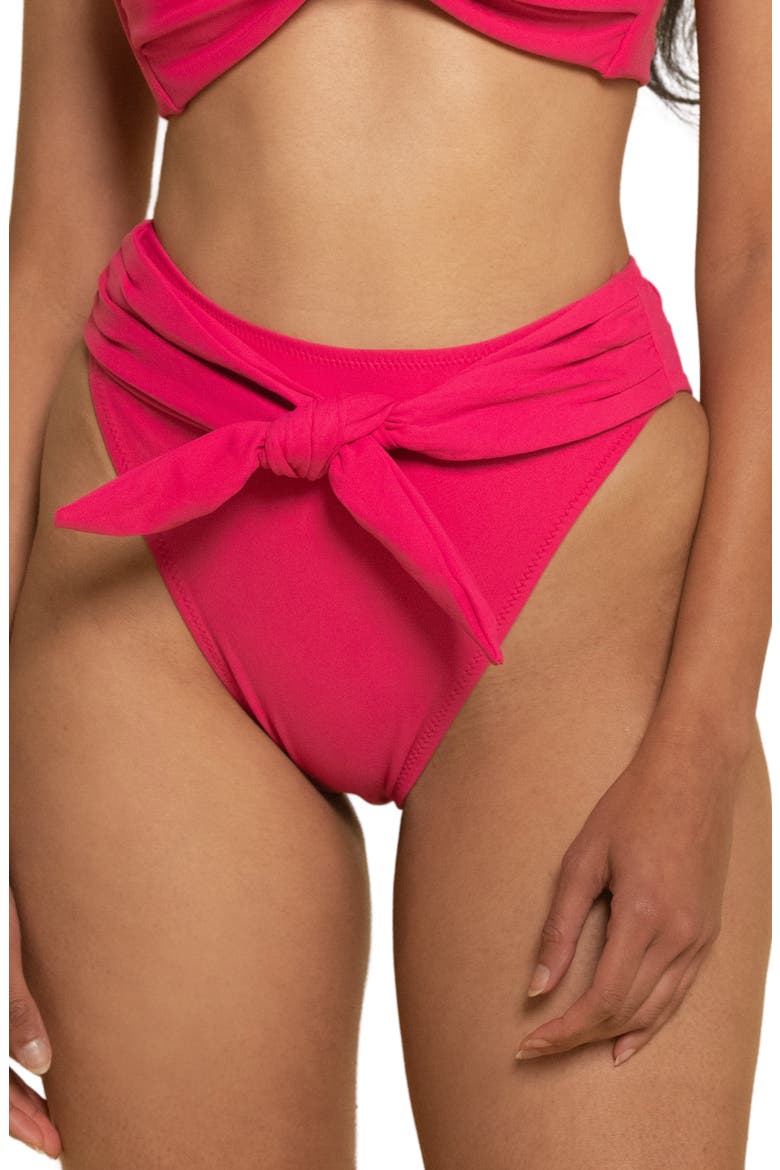 Paula Waist Tie Bikini Bottoms, Main, color, RASPBERRY