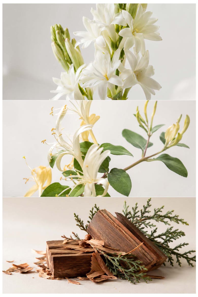 The Lime Tree Perfumed Hand Cream, Alternate, color, WHITE RAIN