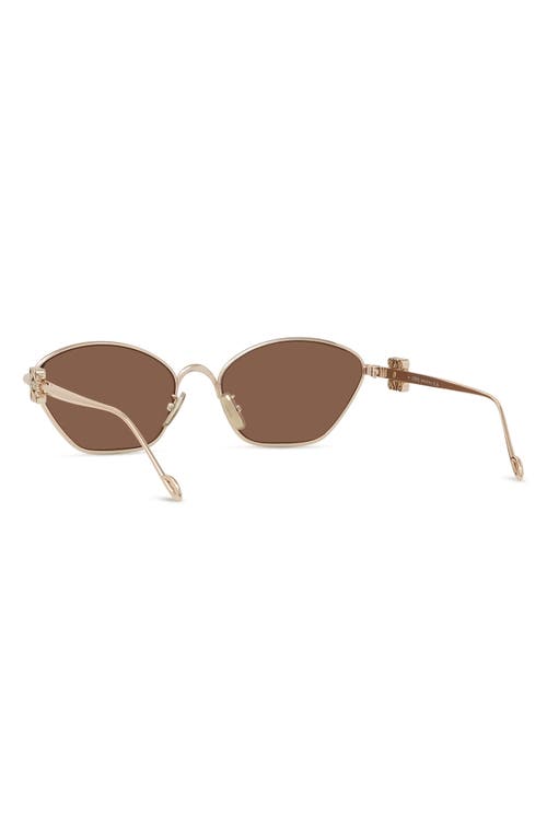 Loewe 57mm Cat Eye Sunglasses In Neutral