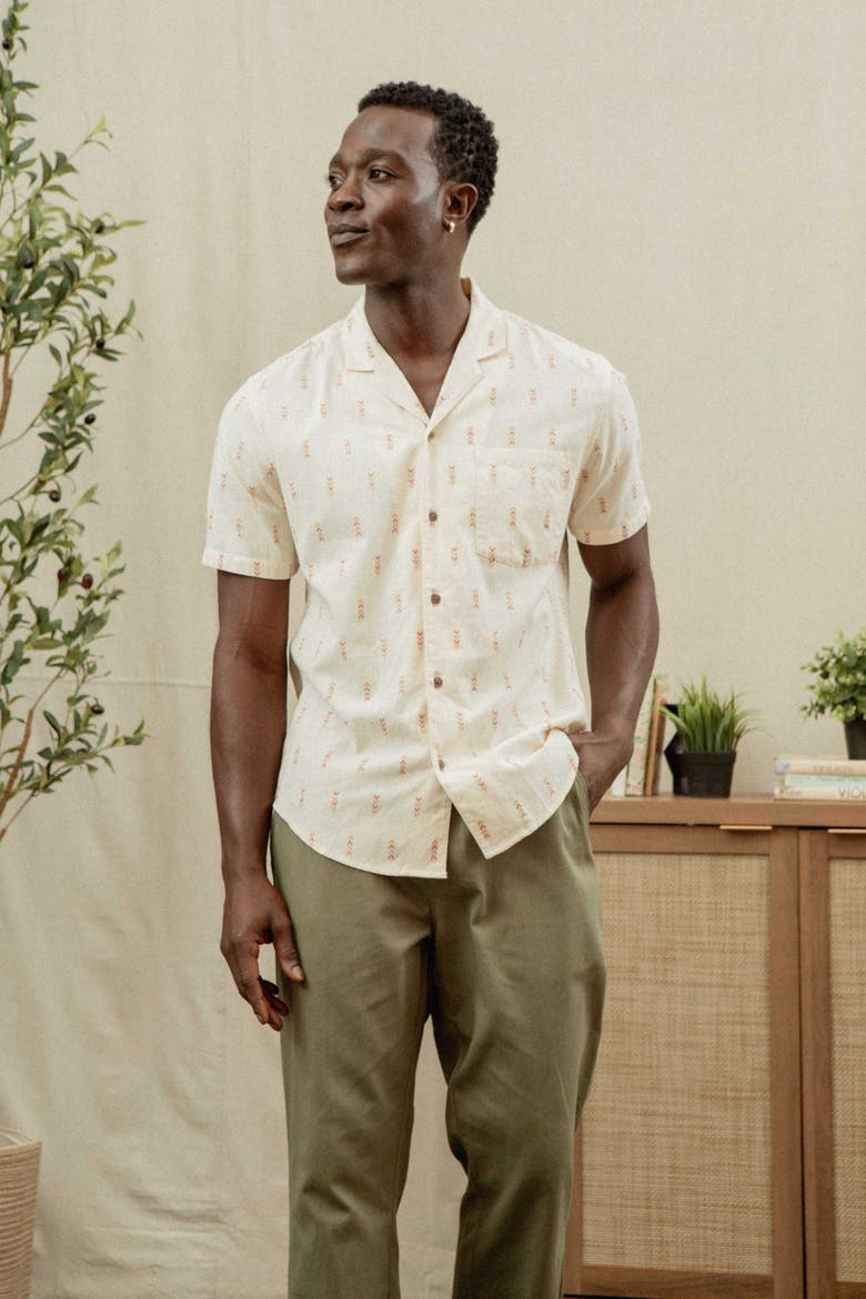 Collins Slim Shirt, Alternate, color, Dune Chevron
