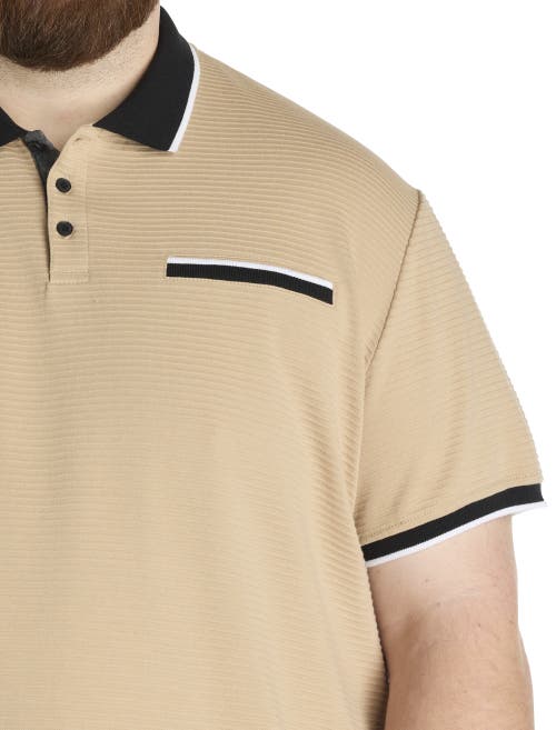 True Nation By Dxl Big & Tall Tipped Polo Shirt In Taupe