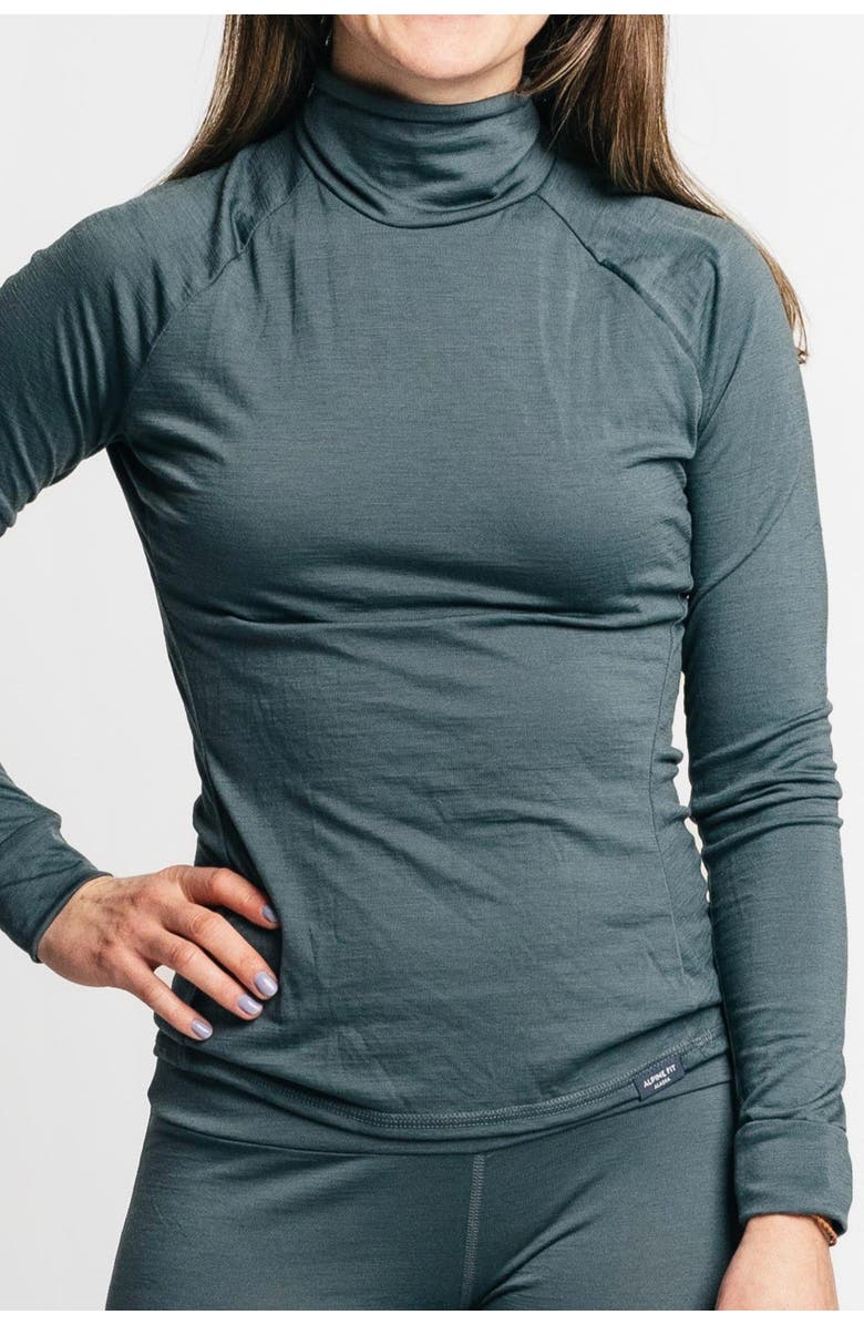 Alpine Fit Merino Wool Isostatic T-Neck Top, Main, color, Slate