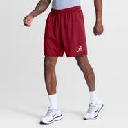 Nike Men's Nike Crimson Alabama Crimson Tide Totality Dri-FIT Shorts
