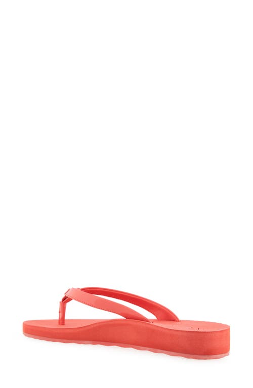 AEROSOLES AEROSOLES JACE FLIP FLOP