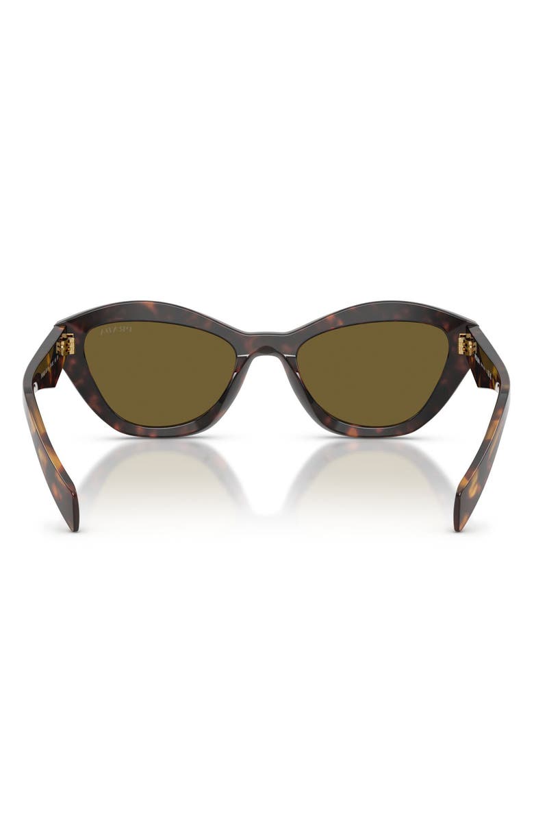 Prada 52mm Butterfly Sunglasses, Alternate, color, Root Tortoise / Dark Brown