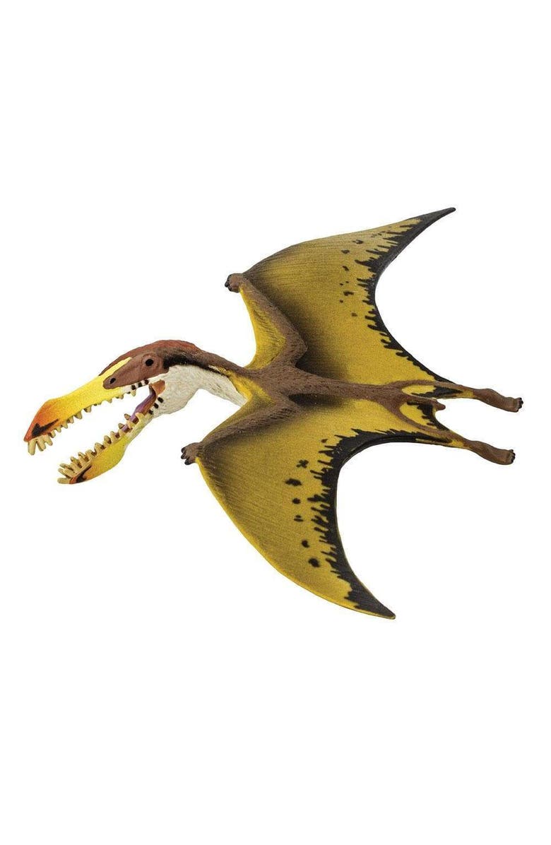 Safari Ltd. Pterosaur Kids Prehistoric/Dinosaur Toy Figure, Main, color, NO COLOR