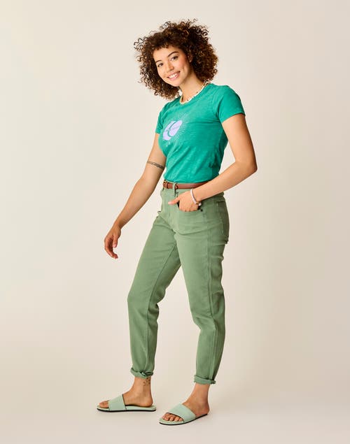 Carve Designs Carson Hi Rise Jean