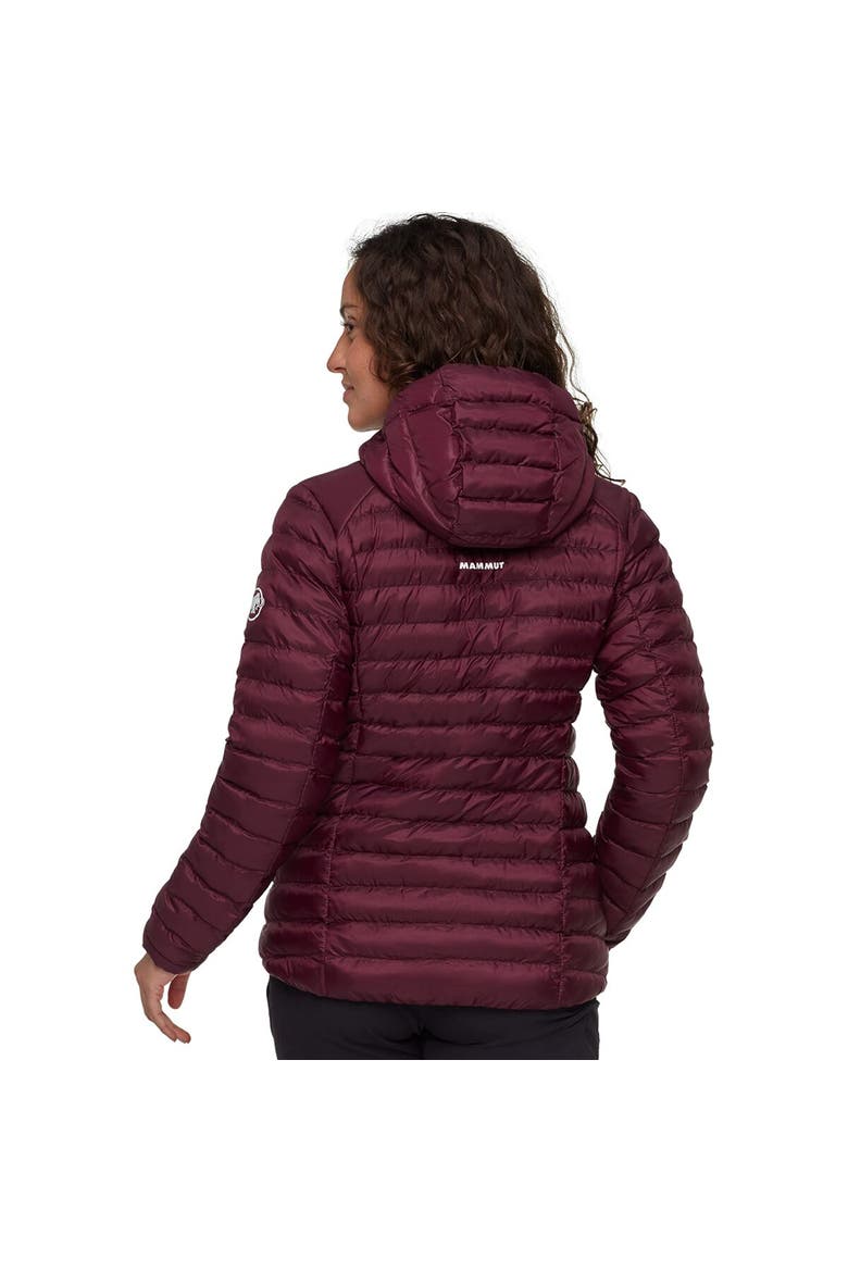 Albula In Hooded Jacket - Women's, Alternate, color, Vin/Black
