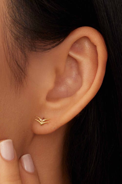 Oradina 14k Yellow Gold Fly High Studs In Gold