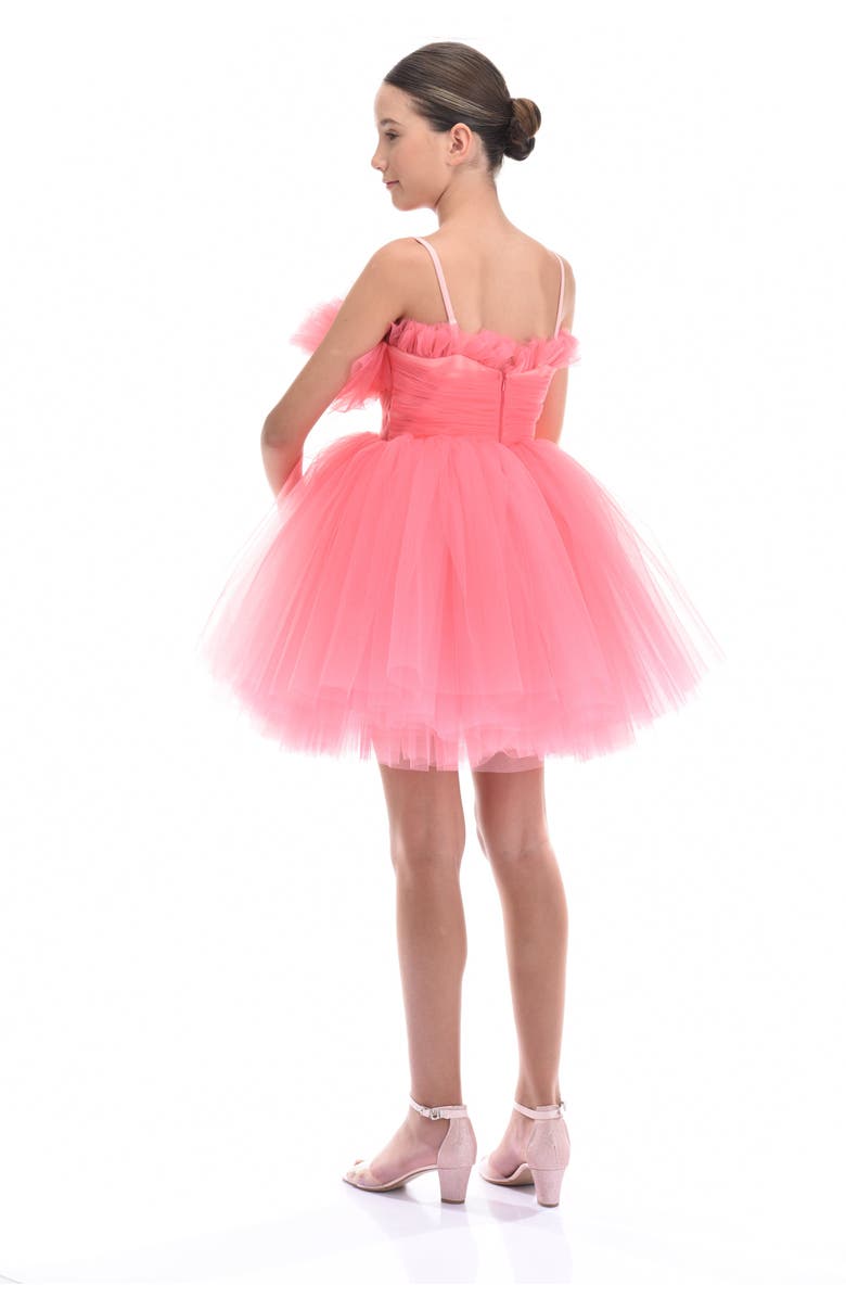 Tulleen Scalleta Dress, Alternate, color, Pink