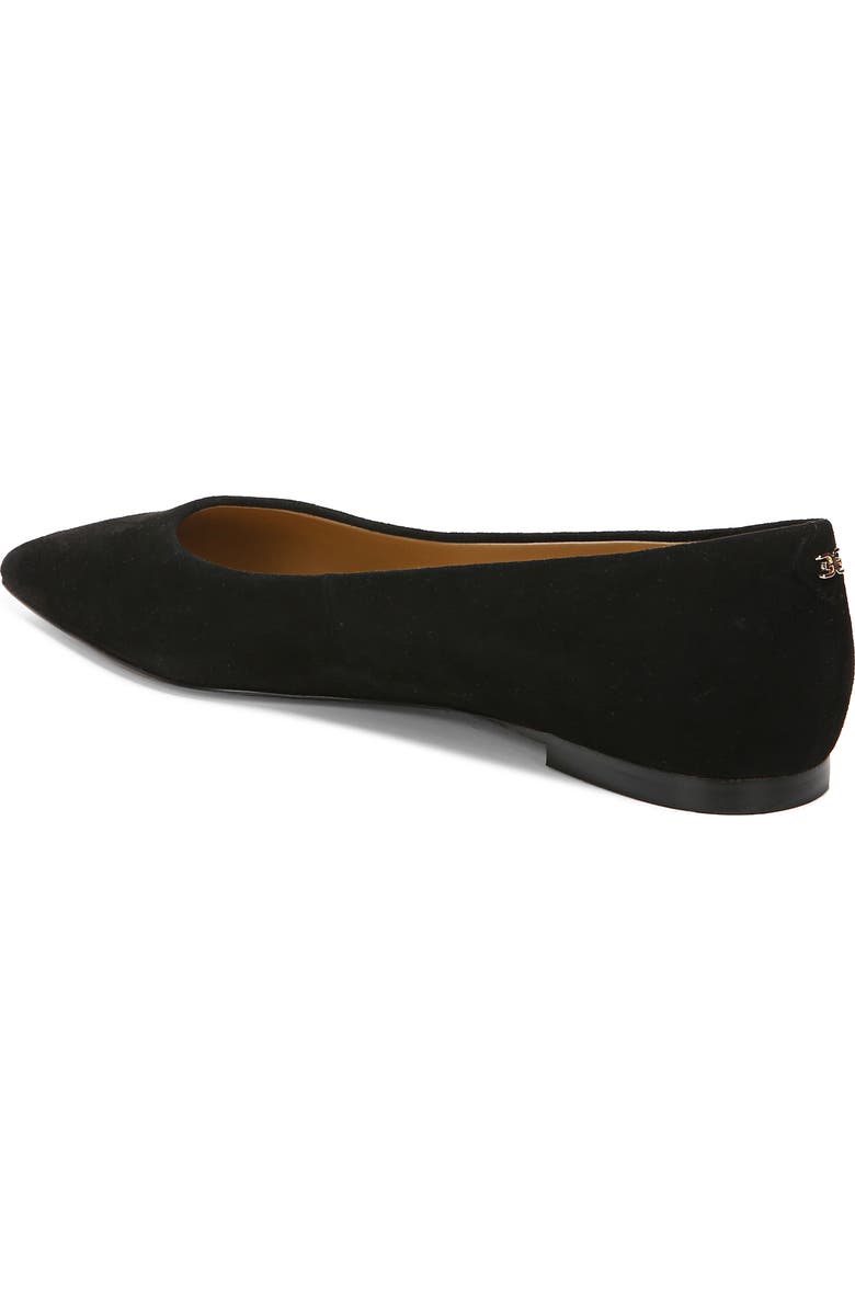 Sam Edelman Wanda Pointed Toe Flat - Wide Width Available, Alternate, color,