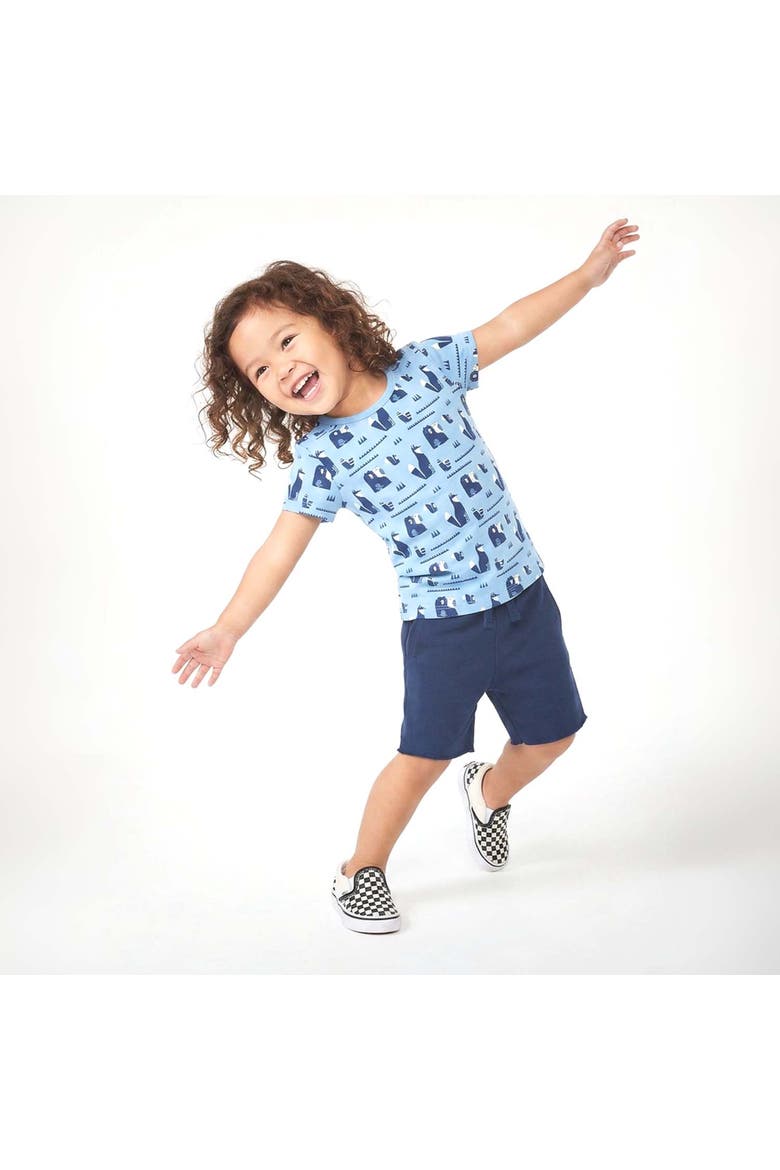 Toddler Organic Cotton Short Sleeve Ribbed Scoop Neck Tee, Alternate, color, Bear-Venture