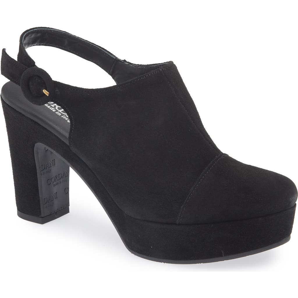 Cordani Tessa Block Heel Clog In Black