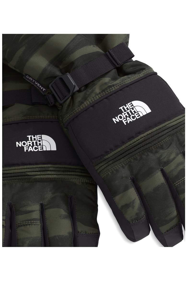 Montana Water Repellent Ski Gloves, Alternate, color, NEW TAUPE GREEN EDGE OF LIGHT