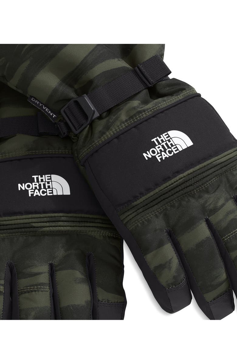The North Face Montana Water Repellent Ski Gloves, Alternate, color, New Taupe Green Edge Of Light
